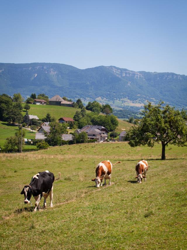 Propriedade rural cercada por alambrado